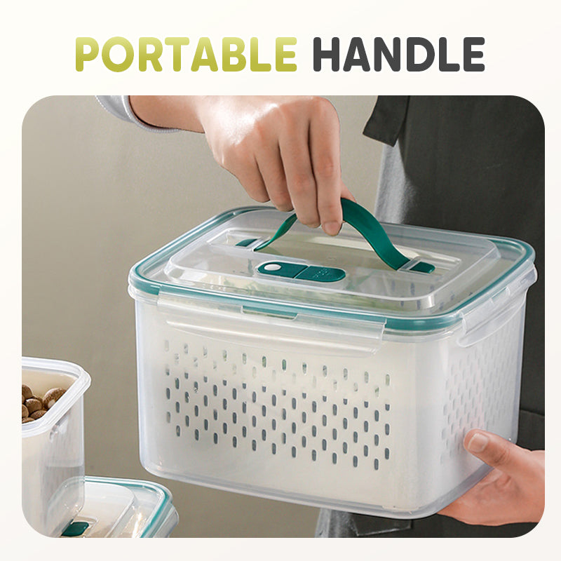 Freshness Container – Feel the Freshness and Extend Food Life