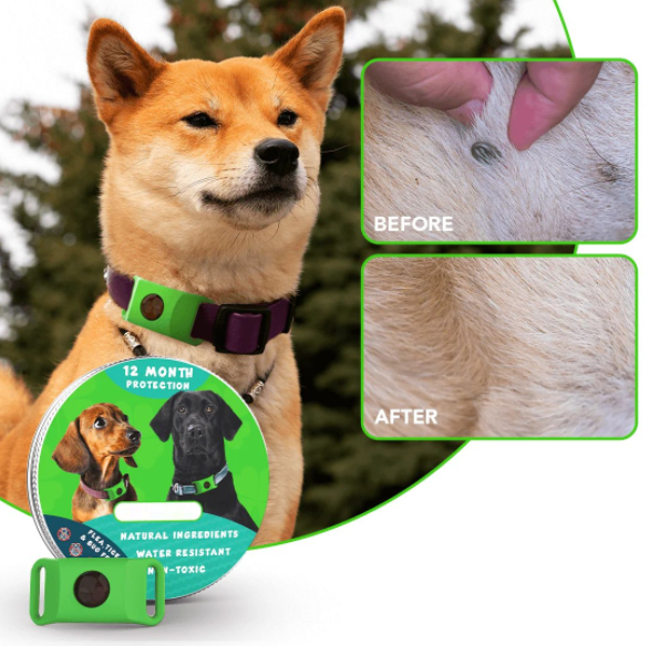 Last Day 60% OFF-12 Months Flea and Tick Free