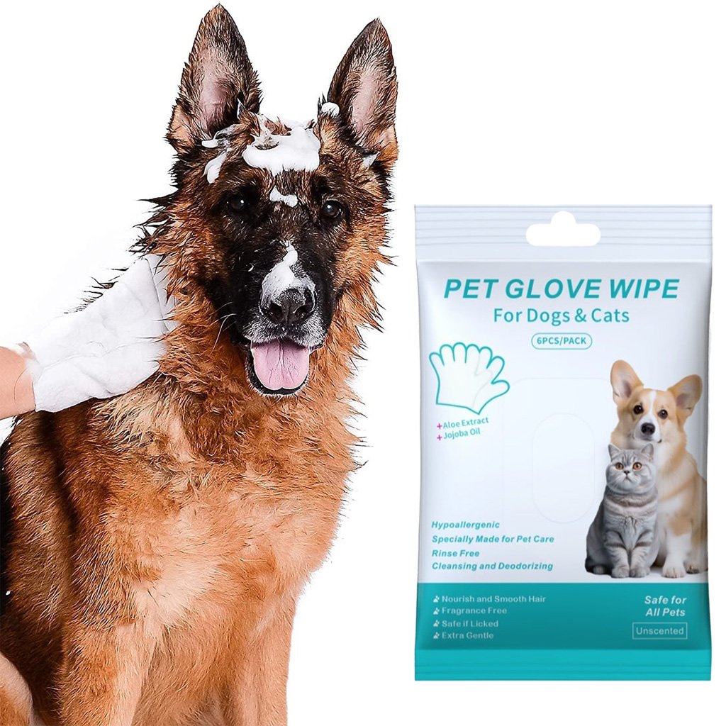Gentle Fur Care for Relaxation and Shine