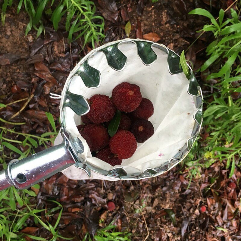 Fruit Picker Head Basket