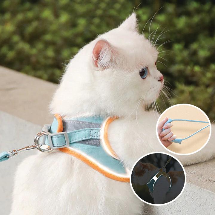 Comfort Harness for Cats - VeloraPaw Style