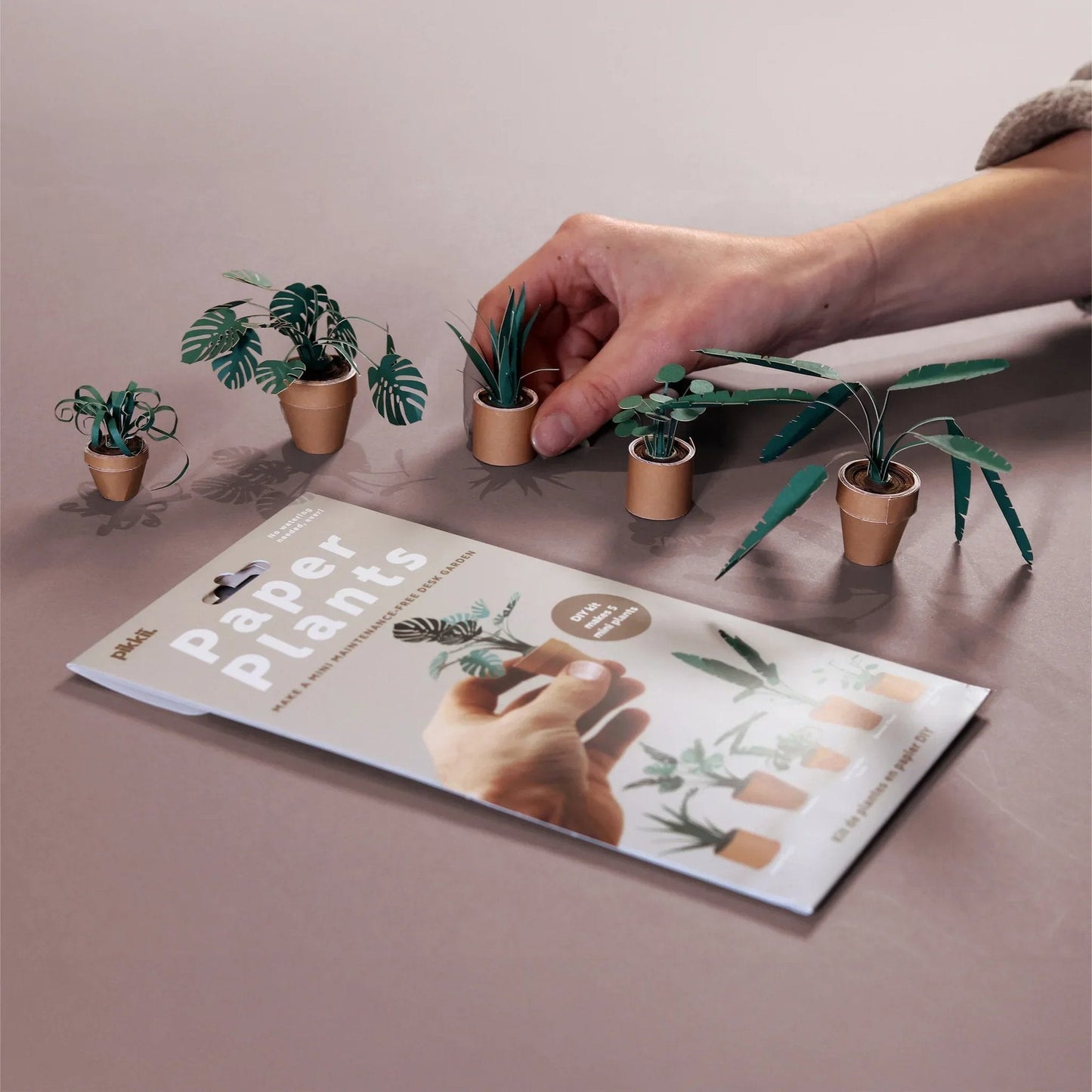 PaperPaws – A Cat Lover’s DIY Paradise