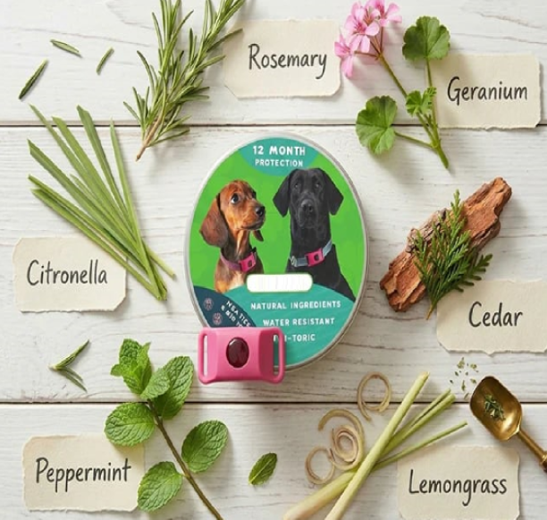 Last Day 60% OFF-12 Months Flea and Tick Free