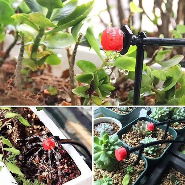 HydroMist – Ideal Plant Moisture for a Lively Garden