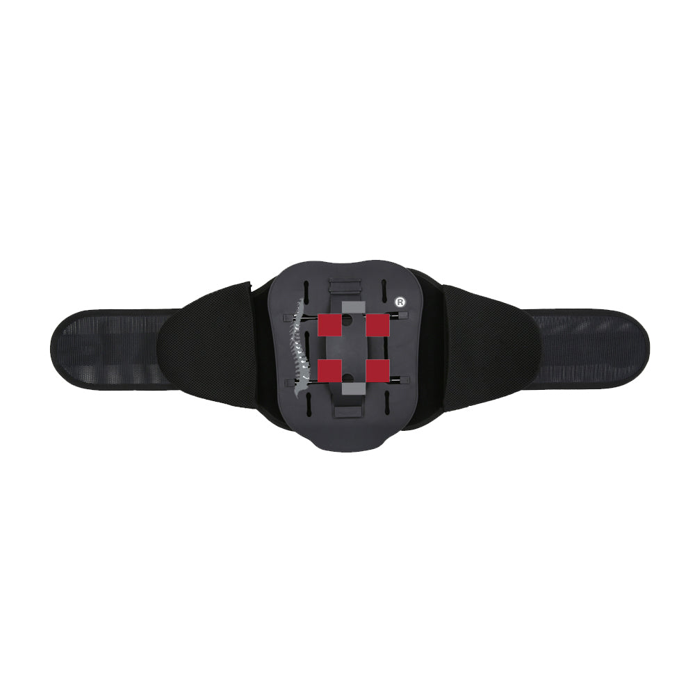 FreeMove Back Support Belt