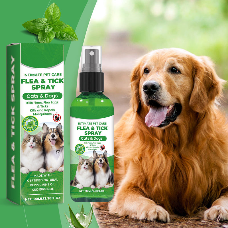 ProtectraMist — Instantly Soothe Itchy Skin and Keep Pesky Pests Far Away