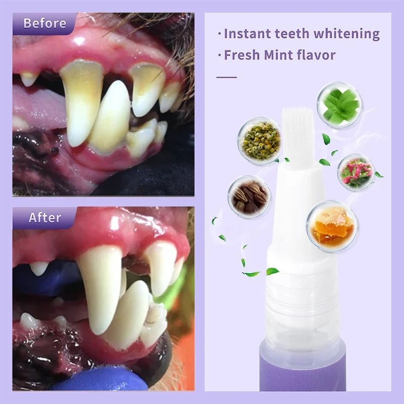VitaSmile — Transform Your Pet’s Smile with Pain-Free Freshness (1+1 FREE TODAY!)