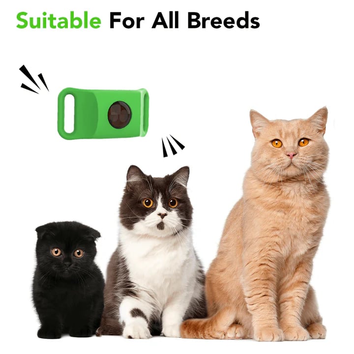 Last Day 60% OFF-12 Months Flea and Tick Free