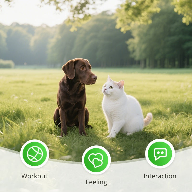 Furrace™ — Unleash Your Cat’s Wild Instincts for Nonstop Thrilling Play