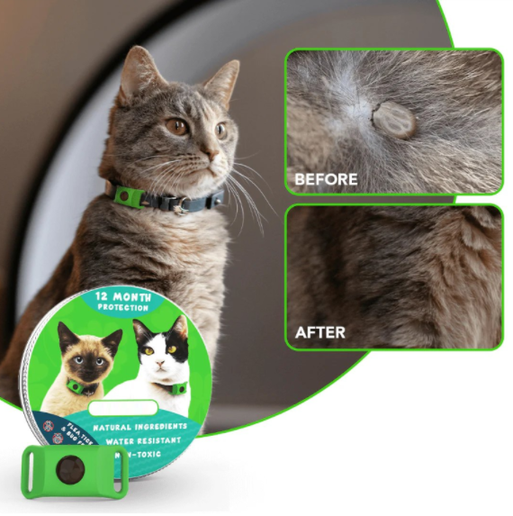 Last Day 60% OFF-12 Months Flea and Tick Free