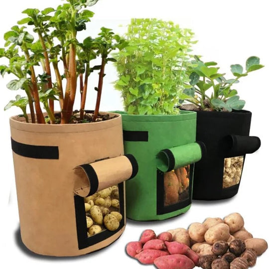 Breathable Plant Bag – Nurture Vibrant Roots for Easy Harvesting!