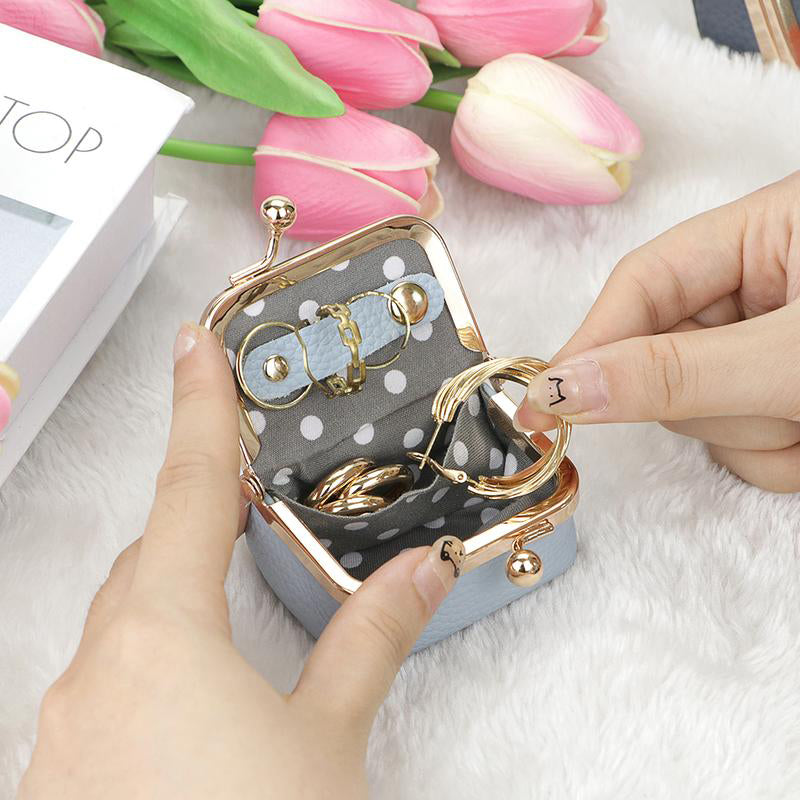 Elegant Jewelry Case for Safe and Radiant Storage Anywhere