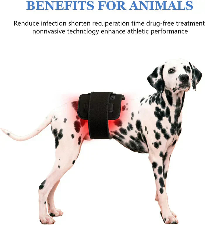 Infrared and Red Light Therapy Device Belt System with LED