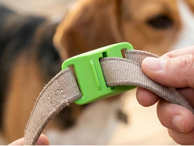 Last Day 60% OFF-12 Months Flea and Tick Free