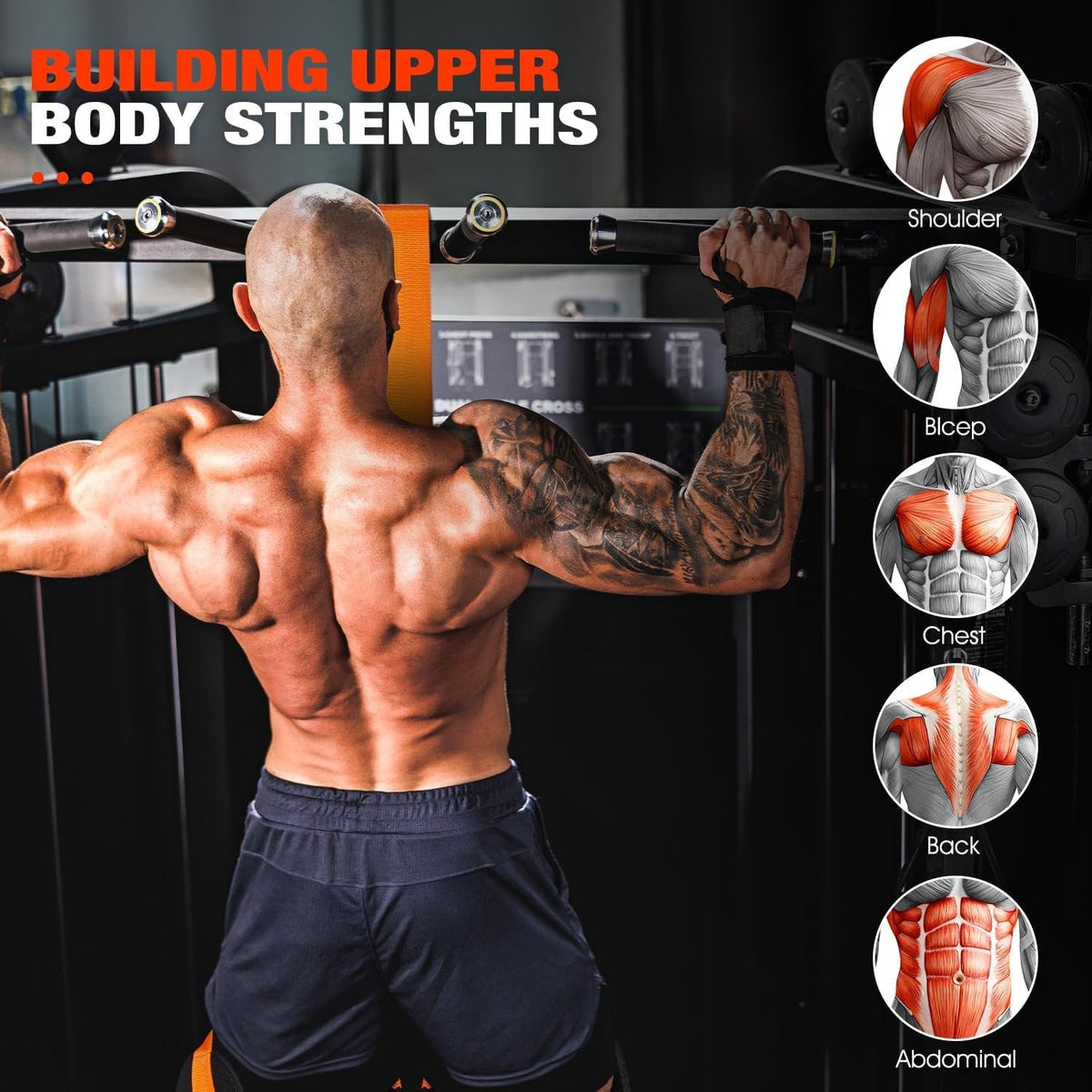Pull-up assistance band with double foot system