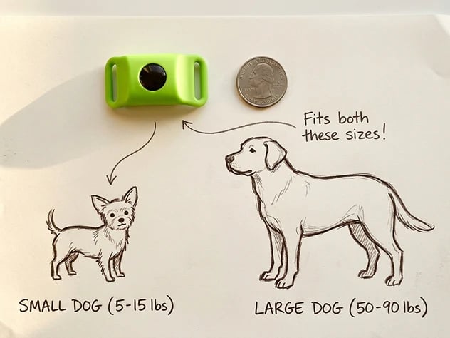 Last Day 60% OFF-12 Months Flea and Tick Free