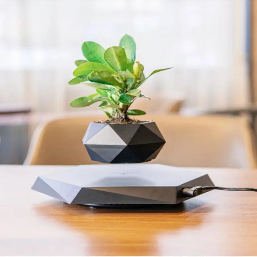 Flower Planter | 360° Rotatable | Artistic, Floating Style | AeroPlant