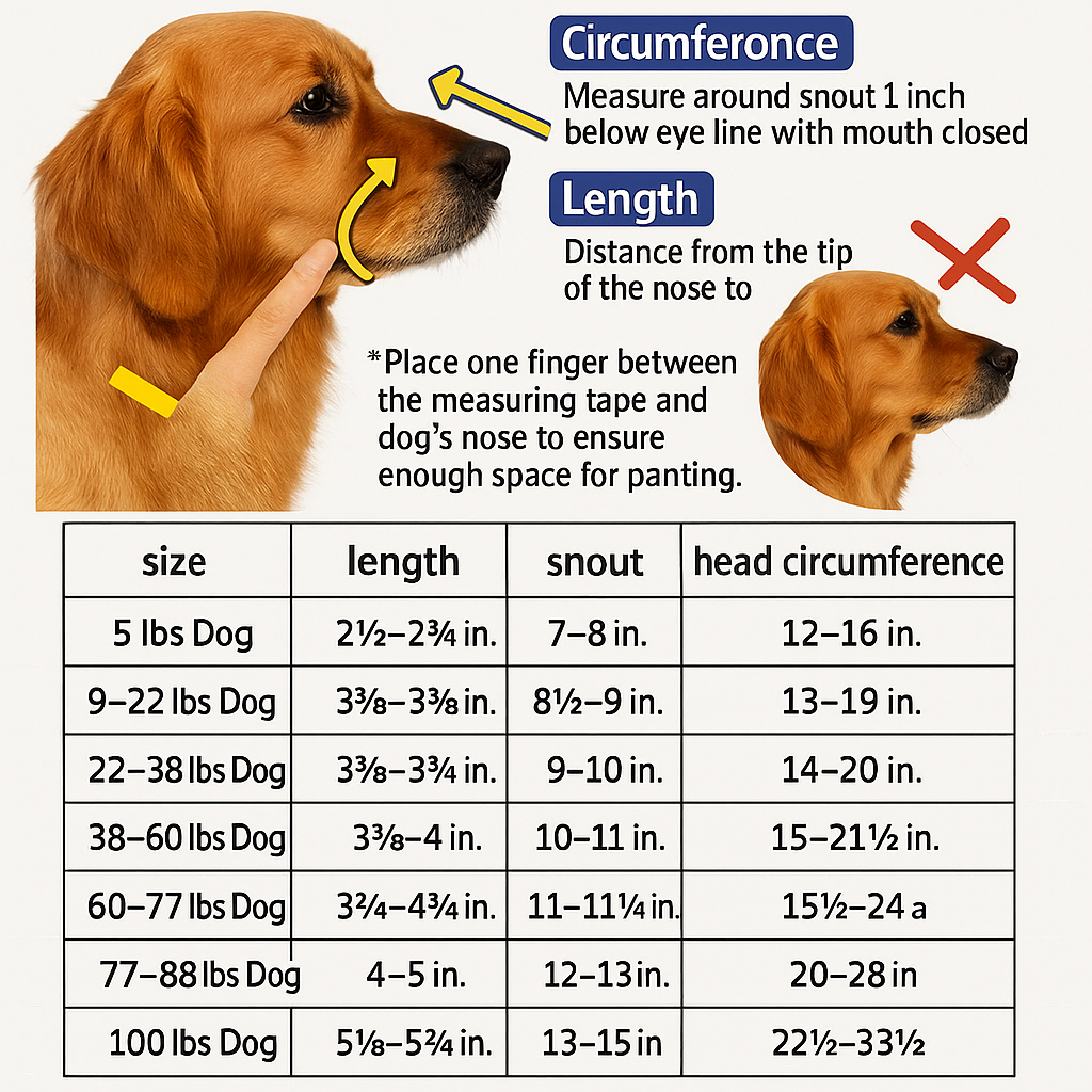 Enjoy Worry-Free Walks with Safety and Comfort