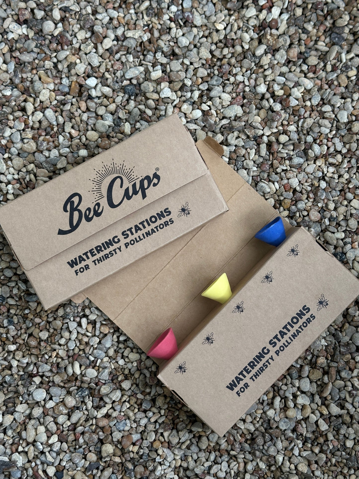 Bee Cups for a Vibrant Garden – Attract Pollinators and Enjoy Mosquito-Free Freshness