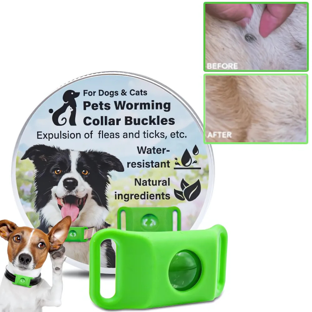 EverGuard™ Natural Protection Pendant — Give Your Pet a Year of Worry-Free, Chemical-Free Freedom