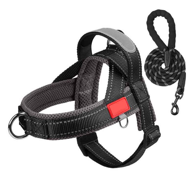 Comfort Harness for Dogs – Easy Wear and Unrestricted Freedom