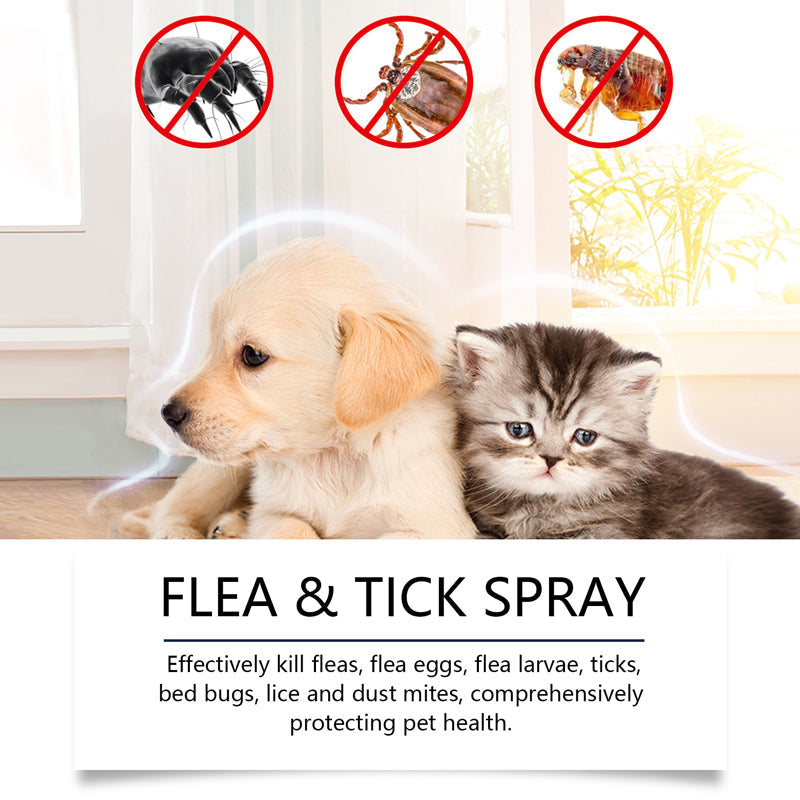 ProtectraMist — Instantly Soothe Itchy Skin and Keep Pesky Pests Far Away