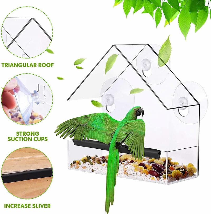 FeatherVibe — Clear Window Bird Feeder with Strong Suction Mount
