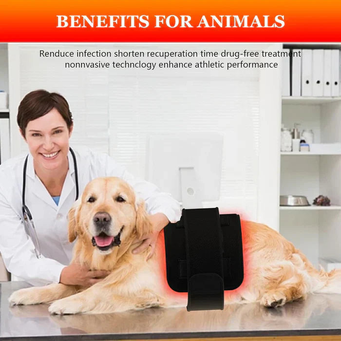 Infrared and Red Light Therapy Device Belt System with LED