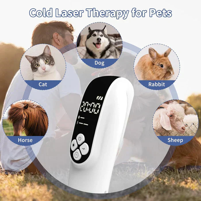 Infrared Light Therapy Device with Dual Wavelengths for Pain Relief