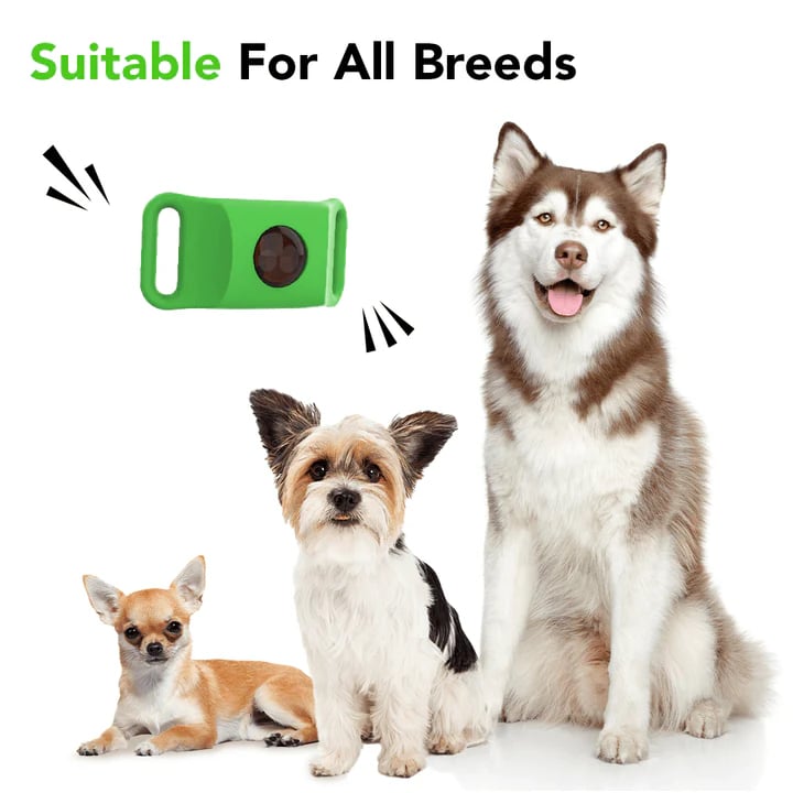 Last Day 60% OFF-12 Months Flea and Tick Free