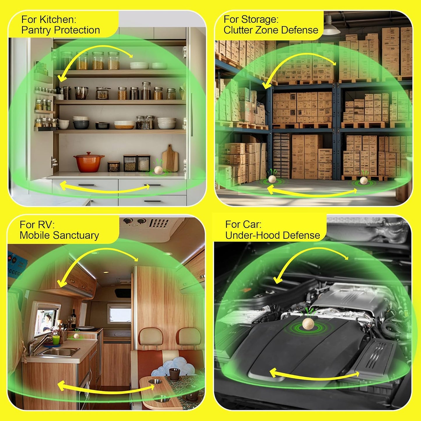 Natural Rodent Protection for a Pest-Free and Worry-Free Home