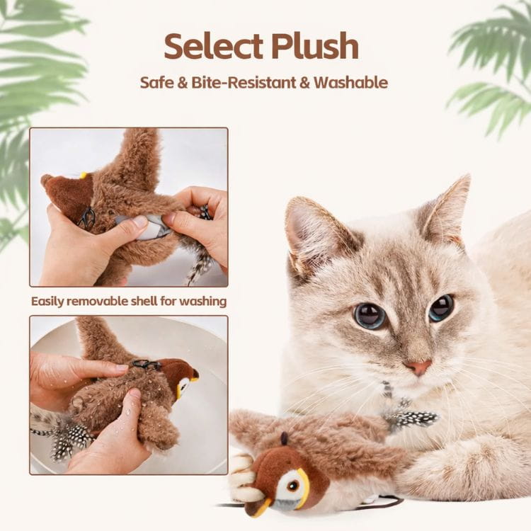 BirdBuddy – Interactive Bird Toy for Cats