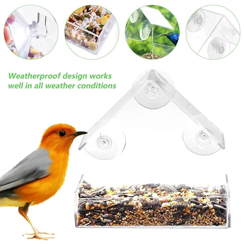 FeatherVibe — Clear Window Bird Feeder with Strong Suction Mount