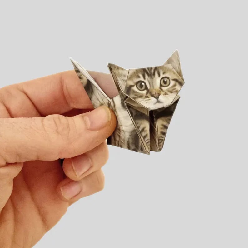 PaperPaws – A Cat Lover’s DIY Paradise