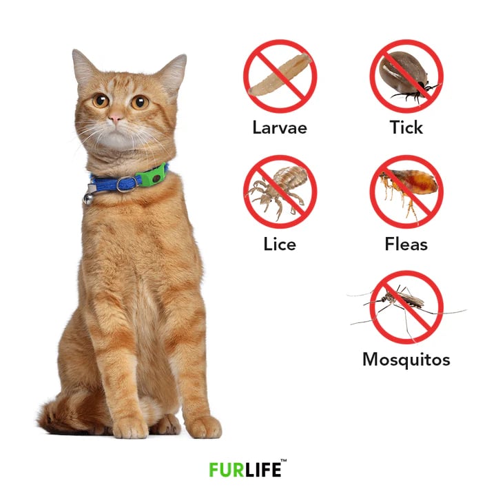 Last Day 60% OFF-12 Months Flea and Tick Free