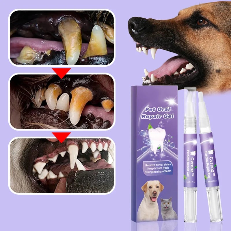 VitaSmile — Transform Your Pet’s Smile with Pain-Free Freshness (1+1 FREE TODAY!)