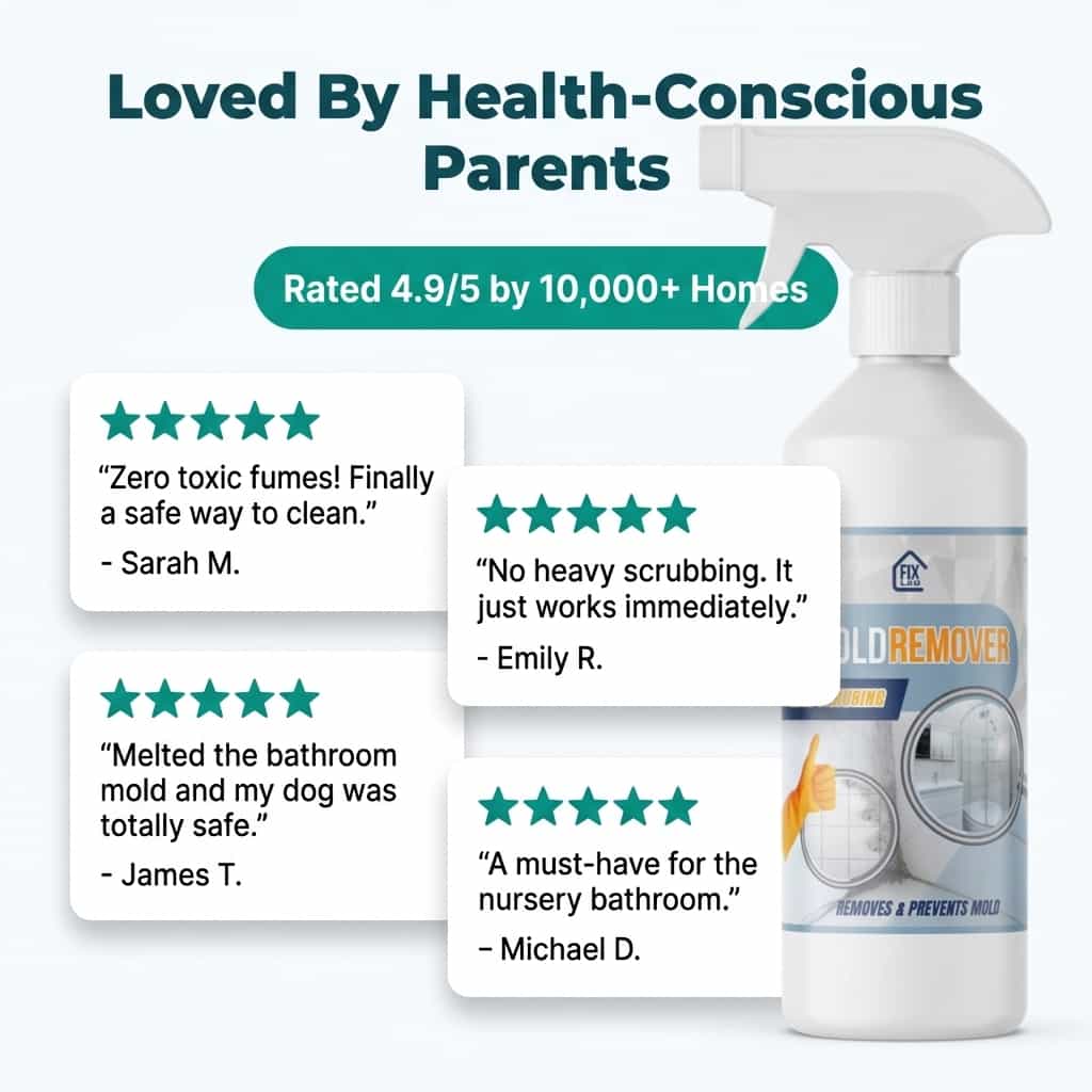 MoldClear - Fast, Non-Toxic Mold Remover