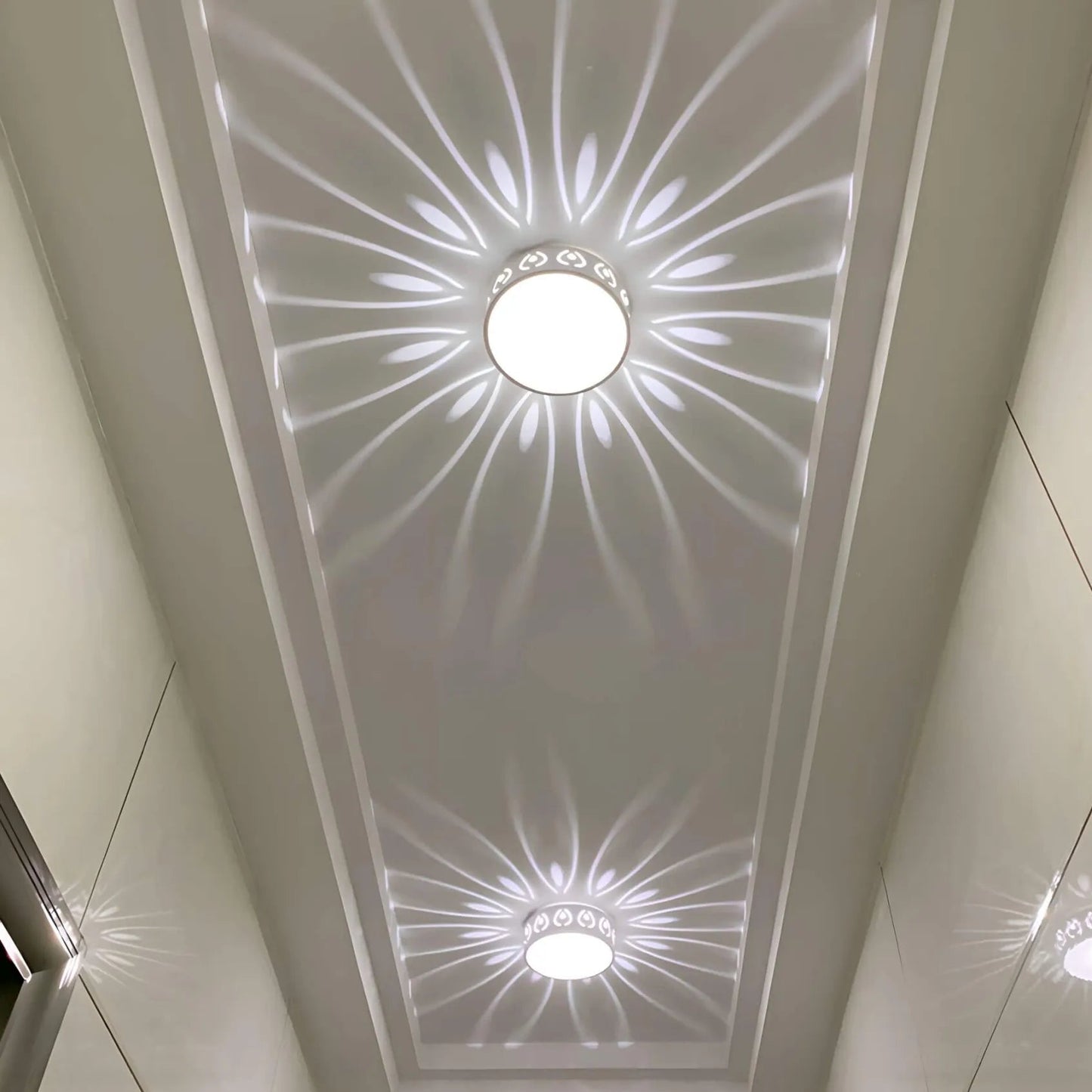 LED Overhead Light Fixture