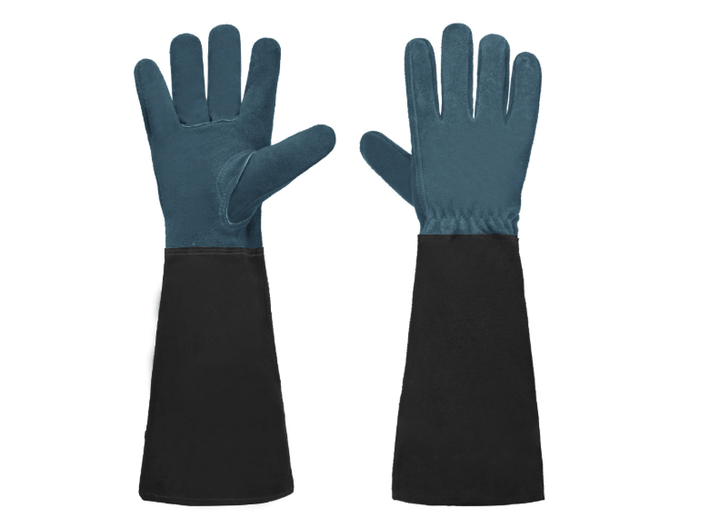 Hand Protection for Pain-Free Handling of Roses