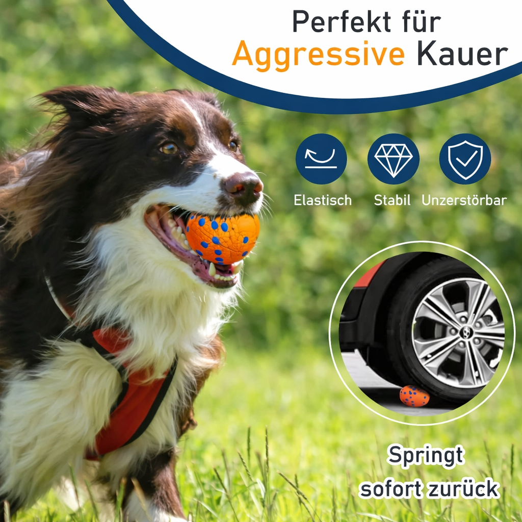 Daily Adventure Dog Toy for Fun and Energy