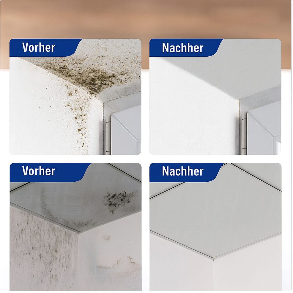Mold Remover – Finally Free from Hazardous Mold