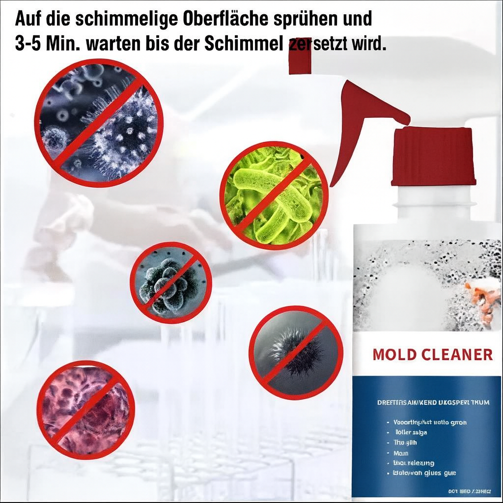 Mold Remover – Finally Free from Hazardous Mold