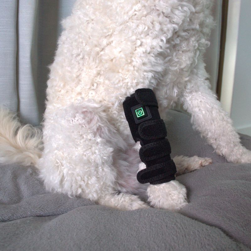 Joint Support Wrap for Dogs with Red Light Therapy