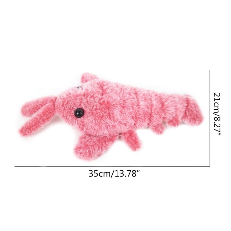 Interactive Cat and Dog Toys