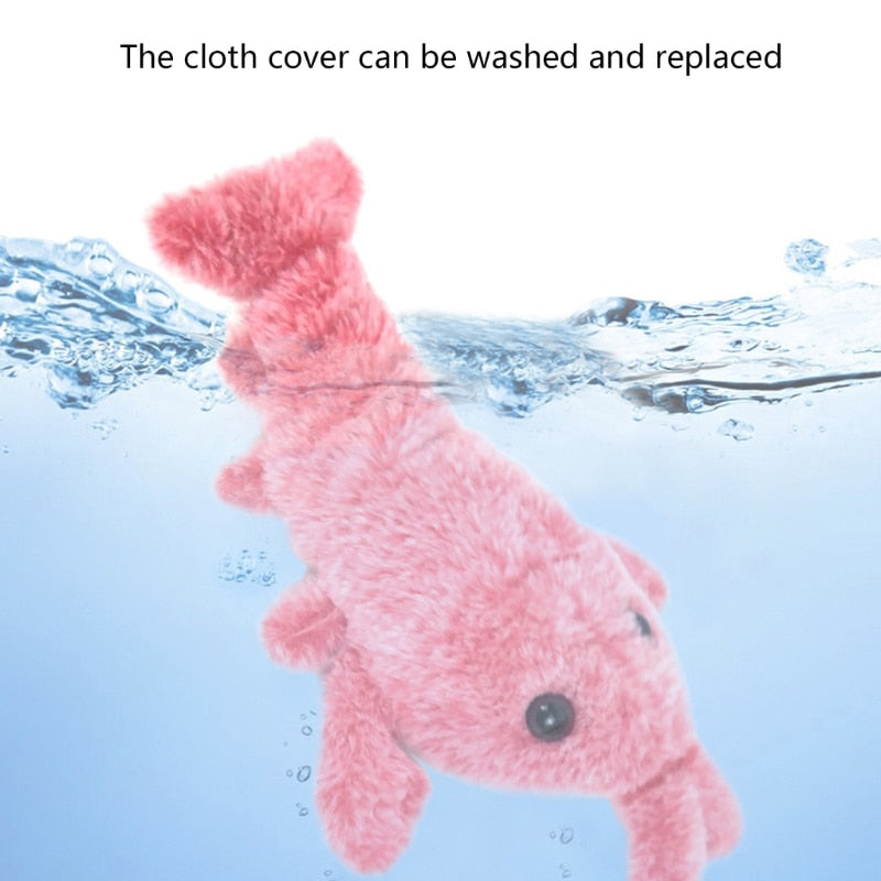Interactive Cat and Dog Toys