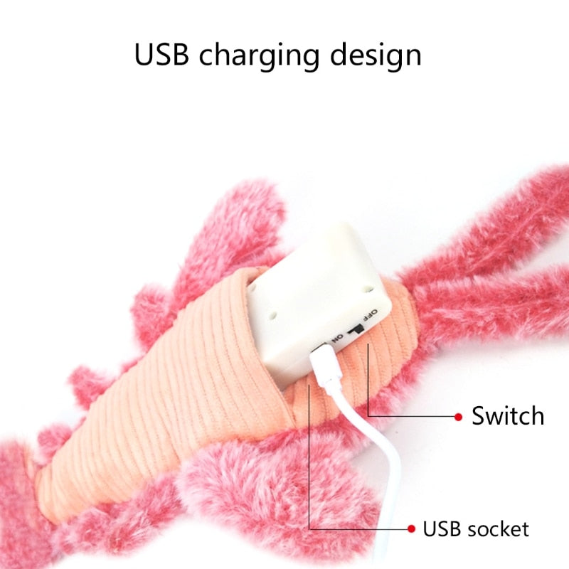 Interactive Cat and Dog Toys
