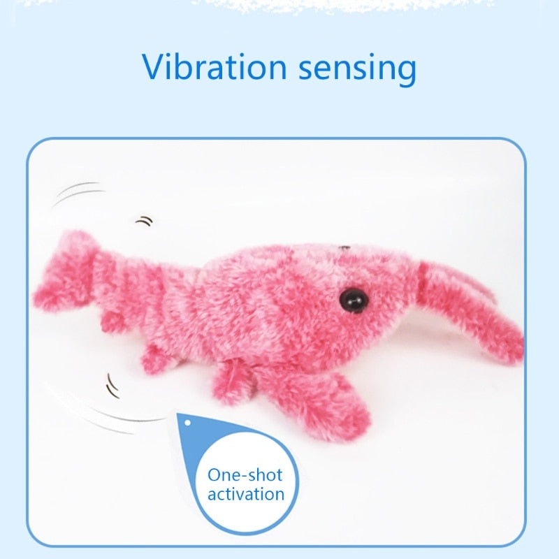 Interactive Cat and Dog Toys