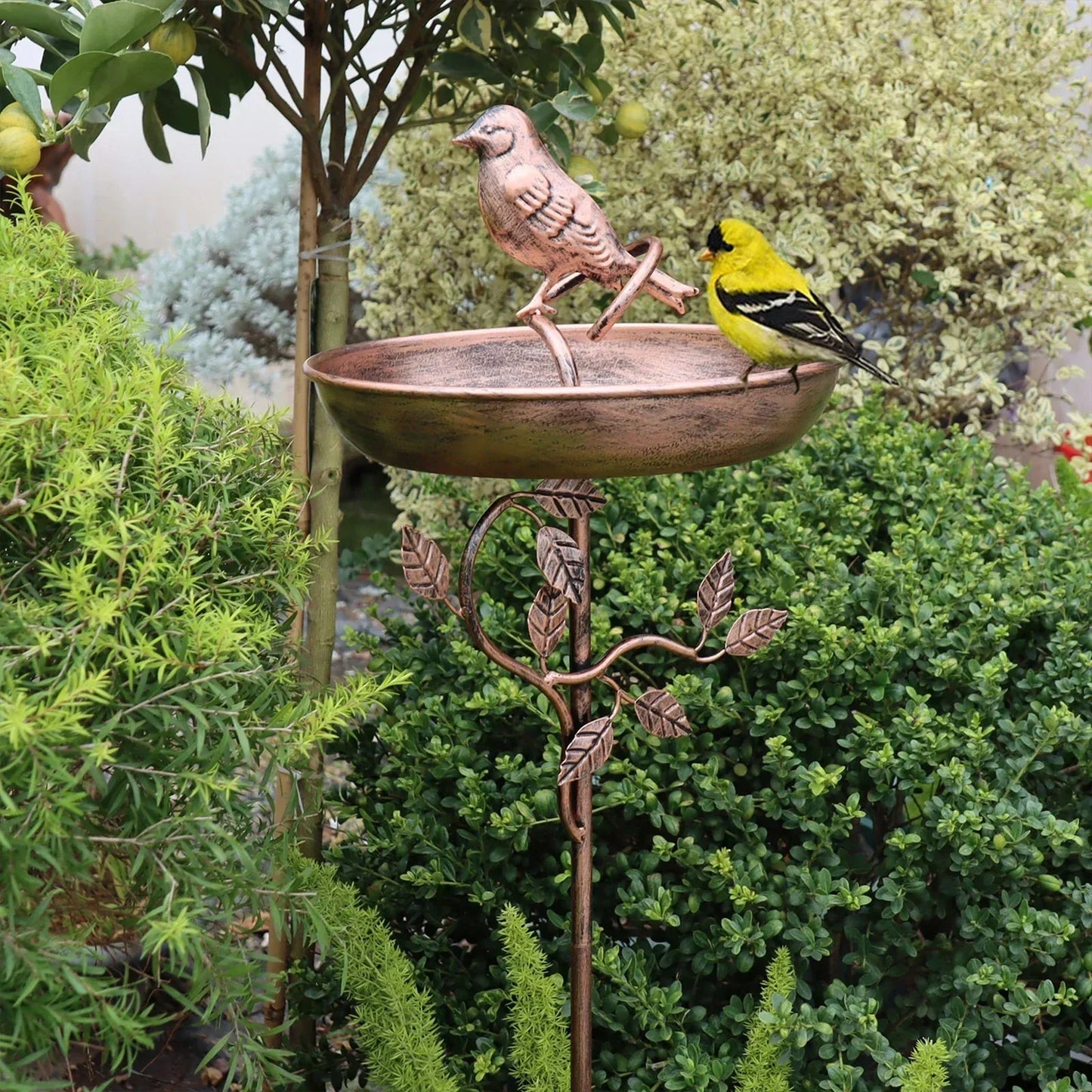 Garden Bird Water Bowl | Ornamental Basin | Secure Spike | GardenShine