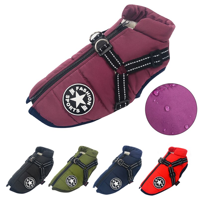 Dog Cold and Wet Protection – WarmPaws