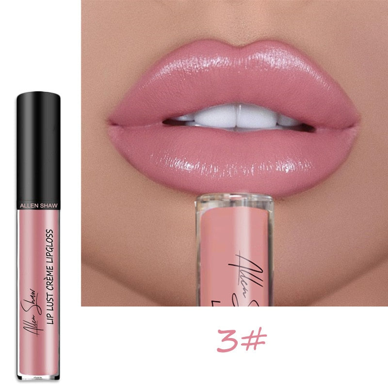 12 Color Sexy Women Lipstick